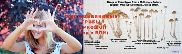 твердый Алексеевка