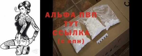 СК Абаза