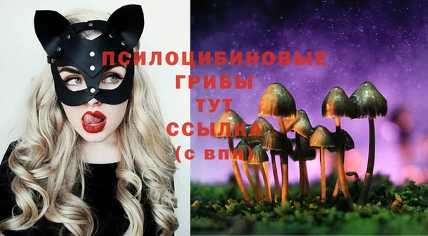 PSILOCYBIN Алексин