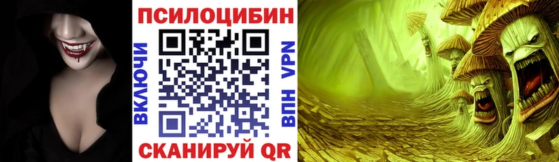 Псилоцибиновые грибы GOLDEN TEACHER  как найти закладки  Черемхово 
